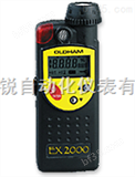 EX2000便携式CH4检测仪