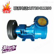 NCB-12/0.5内啮合齿轮泵/高粘度转子泵/稠油泵/NCB高粘度泵