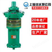 QY潜水泵 充油式油浸泵 大口径抽水泵